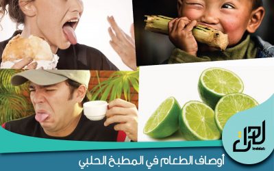 أوصاف الطعام في المطبخ الحلبي
